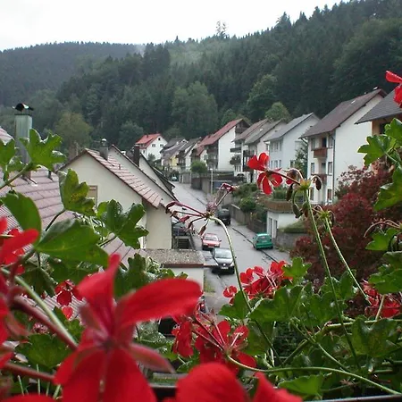 Haus Huber 아파트